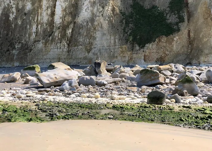 Apartment The Old Fenwick House